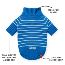 Load image into Gallery viewer, Blue Stripe Quarter-Zip Dog Sweater