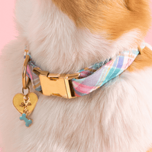Load image into Gallery viewer, Bone Collar Charm