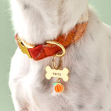 Load image into Gallery viewer, Bone Pet ID Tag