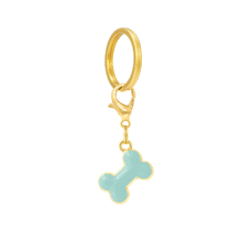 Load image into Gallery viewer, Bone Collar Charm