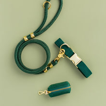 Load image into Gallery viewer, Evergreen Collar Walk Set