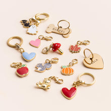 Load image into Gallery viewer, Bone Pet ID Tag
