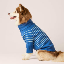 Load image into Gallery viewer, Blue Stripe Quarter-Zip Dog Sweater