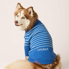 Load image into Gallery viewer, Blue Stripe Quarter-Zip Dog Sweater