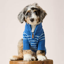 Load image into Gallery viewer, Blue Stripe Quarter-Zip Dog Sweater