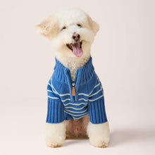 Load image into Gallery viewer, Blue Stripe Quarter-Zip Dog Sweater
