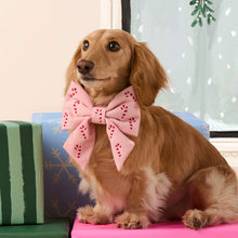 Load image into Gallery viewer, Blush Pink Candy Canes Embroidered Lady Bow Collar
