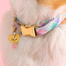 Load image into Gallery viewer, Donut Collar Charm