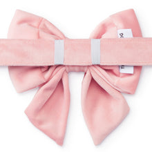 Load image into Gallery viewer, Blush Pink Velvet Lady Dog Bow