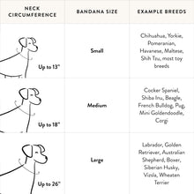 Load image into Gallery viewer, Birthday Yay Navy Dog Bandana