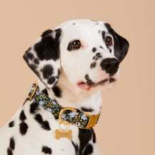 Load image into Gallery viewer, Bone Pet ID Tag