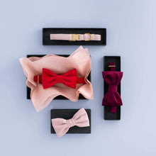 Load image into Gallery viewer, Blush Pink Velvet Lady Bow Collar