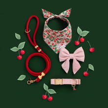 Load image into Gallery viewer, Blush Pink Velvet Lady Bow Collar