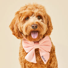 Load image into Gallery viewer, Blush Pink Velvet Lady Bow Collar