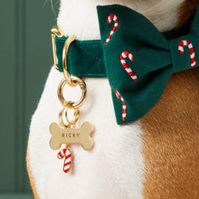 Load image into Gallery viewer, Bone Pet ID Tag
