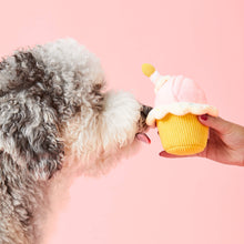 Load image into Gallery viewer, Birthday Cupcake 2-in-1 Bounce Dog Toy