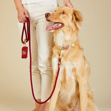 Load image into Gallery viewer, Eggnog Plaid Flannel Collar Walk Set