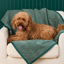 Load image into Gallery viewer, ChappyWrap Harborview Herringbone Evergreen Dog Blanket