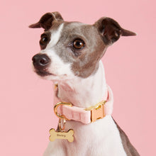 Load image into Gallery viewer, Bone Pet ID Tag