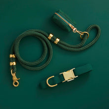 Load image into Gallery viewer, Evergreen Collar Walk Set