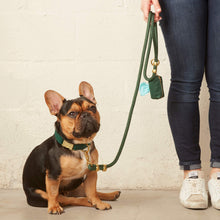 Load image into Gallery viewer, Evergreen Collar Walk Set